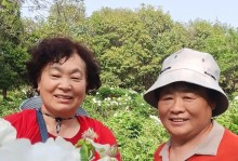 人生充满阳光——如何在逆境中找到希望