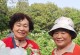 人生充满阳光——如何在逆境中找到希望