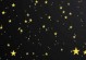 星星之梦：一个寻找自我的少女的奇幻之旅