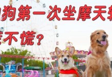 摩天轮上的冒险（一段惊险刺激的回忆）