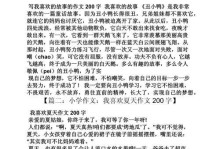 春节的欢乐