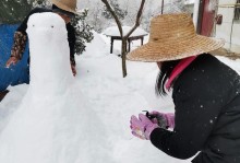 小男孩的雪人冒险（冰天雪地中，他堆了一个特别的雪人）