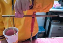 科学的探索之旅（一个小实验，点燃未来的希望）