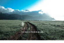 成功的追求——一个脱颖而出的故事（相信自己，不断努力，终将成功）