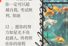 考试不简单，成绩却有意义（一个初中生的成长故事）