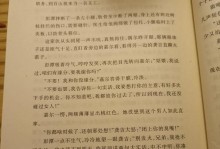 永恒的记忆（我和她之间的故事）