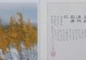 一个敢于坚守信念的人的故事（一个敢于坚守信念的人的故事）