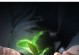 帮助，因为我想说声谢谢你（一个学生的故事，让我们感受到善良的力量）