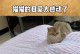 母爱伟大，感动了我。（聋哑女孩的勇气与成长。）