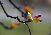 一场突如其来的暴雨（雨中的邂逅）