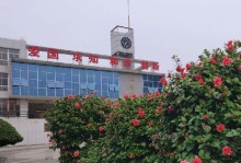 爱的暖流（孤独并不可怕，有爱才是最重要的）