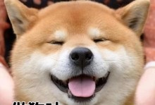 幸福狗的故事