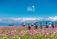 留住春天的秘密（追寻生命之光）