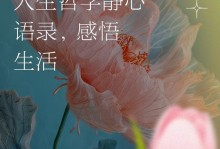 人生感悟（繁华背后的真实）