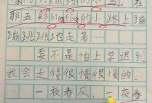 学路漫漫，心始至远（一位学子的成长故事）