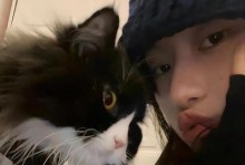 骑士的微笑（一名骑士走过大陆，用自己的微笑感染着每一个人。）