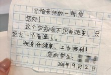 那年夏天，我给老师写了一封信（小学生的成长与老师的关爱）