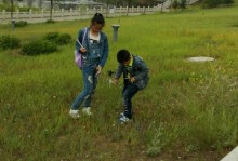 小女孩的夏日冒险（一个小女孩的勇敢之旅）