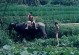 无忧无虑的生命意义（享受当下的美好）