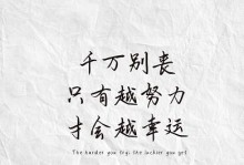 从零到英雄——年轻人的奋斗史（拼搏坚持，迎风而上）