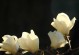 春日花开，万紫千红（以百花竞放，不负春阳）
