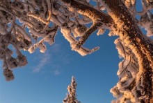 冬至的雪景