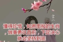 坚持到最后，收获最美的风景（坚持到最后，收获最美的风景）