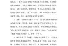 小猫的成长历程（探究小猫的成长过程，从幼崽到成年）