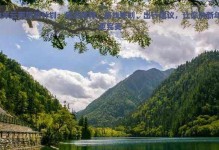 寻找生命真谛的人类（大自然的秘密）