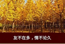 付出与收获（一颗种子的成长之路）