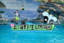 流浪者的冒险（流浪者的冒险）