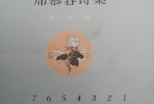 《追逐梦想的青春》（一个少年足球队的成长故事）
