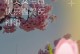 满载着快乐与欢笑的彩车（一场欢乐无比的盛宴）