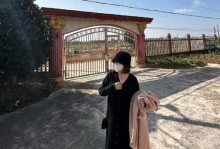 温柔的冬季（在不太冷的冬日里，人们的温情故事）