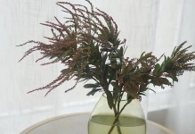 寻找自然之美，追求健康生活（寻找自然之美，追求健康生活）