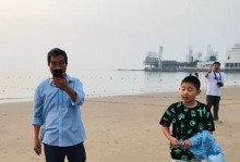一只跳脱不羁的兔子（如何与它成为好朋友）