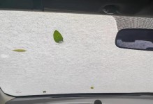 雨中寻觅（一场突如其来的暴雨，改变了他的人生）