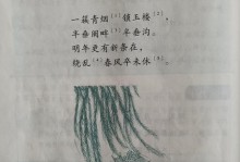 柳枝垂丝（水边小镇的故事）