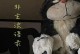 从不梦想未来，只为做好现在