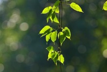 岁月静好，平淡如水（坚守这份平凡，收获自己的幸福）