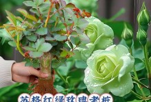 绿色希望（从一个小学生的环保故事）