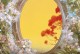 母爱伴我成长（从胆小怕事到自信勇敢）