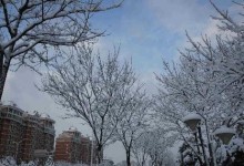 雪花飘落，好大雪。（冬天的破坏。）