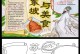 苏轼的人生经历（一位文化名人的传奇经历）