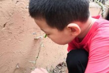 坚持不懈，走出自己的路（坚持不懈，走出自己的路）
