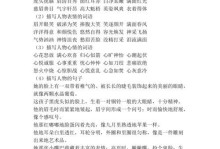 外貌之美（她的容颜惊艳众人）
