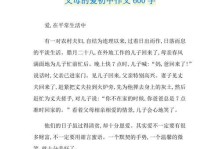 重生（一个医生的人生经历）