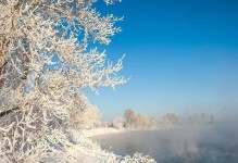 我爱冬天的美景——一场神奇的雪景