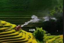 回忆（记忆里的那个人）