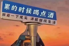 穿越繁华都市，追逐理想与自由（穿越繁华都市，追逐理想与自由）